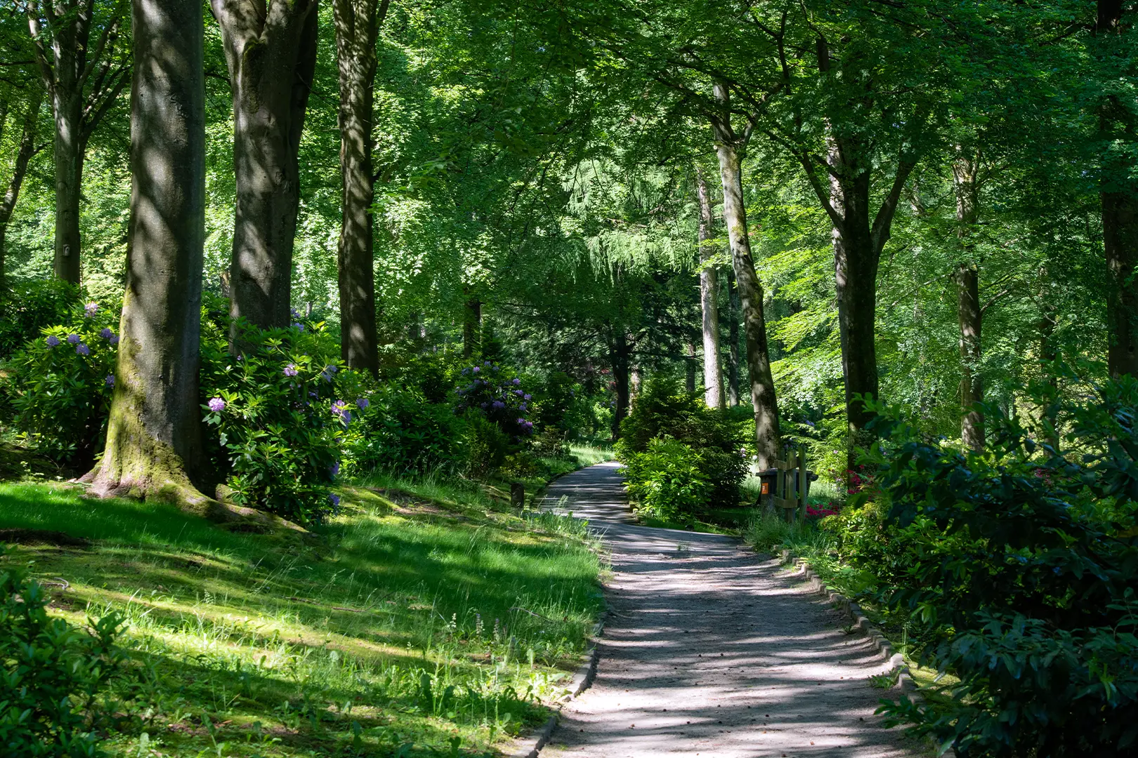Grün bewachsener, gepflegter Weg durch den Waldfriedhof Reinshagen in Remscheid.